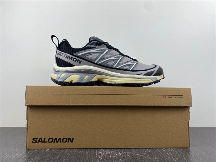 Salomon XT-6 416722