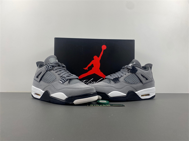 Jordan 4 Retro Cool Grey (2019) 308497-007