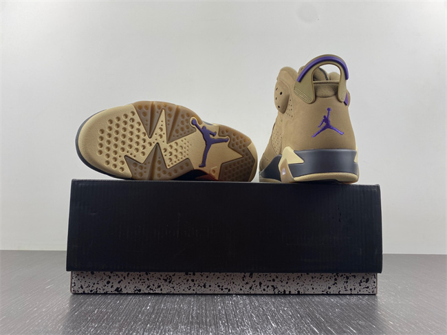 Air Jordan 6 WMNS Gore-Tex “Brown Kelp” FD1643-300