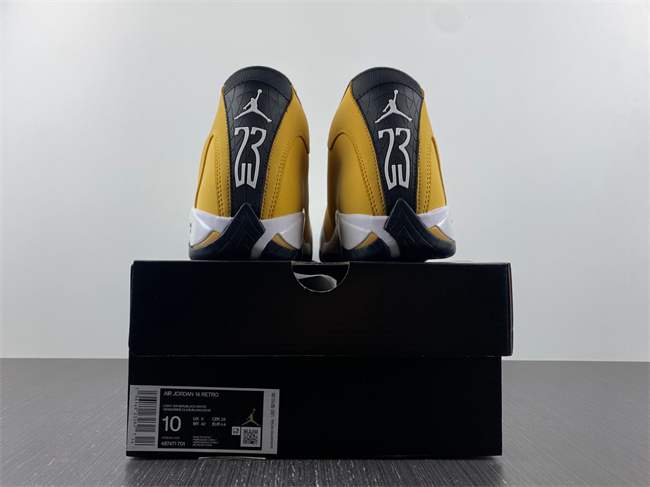 Air Jordan 14 Light Ginger 487471-701