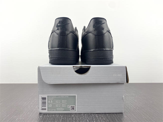 CPFM x Nk Air Force 1